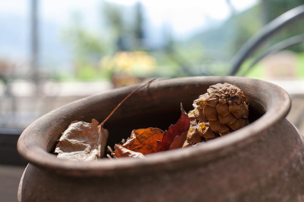 Agriturismo Maso Lizzone ドロ エクステリア 写真