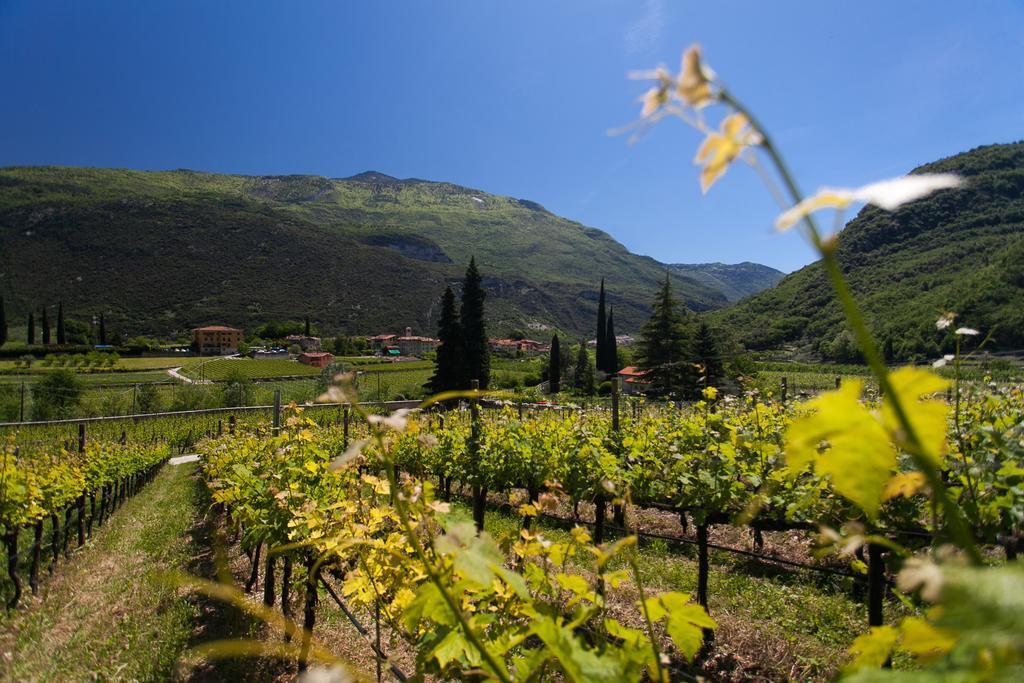 Agriturismo Maso Lizzone ドロ エクステリア 写真