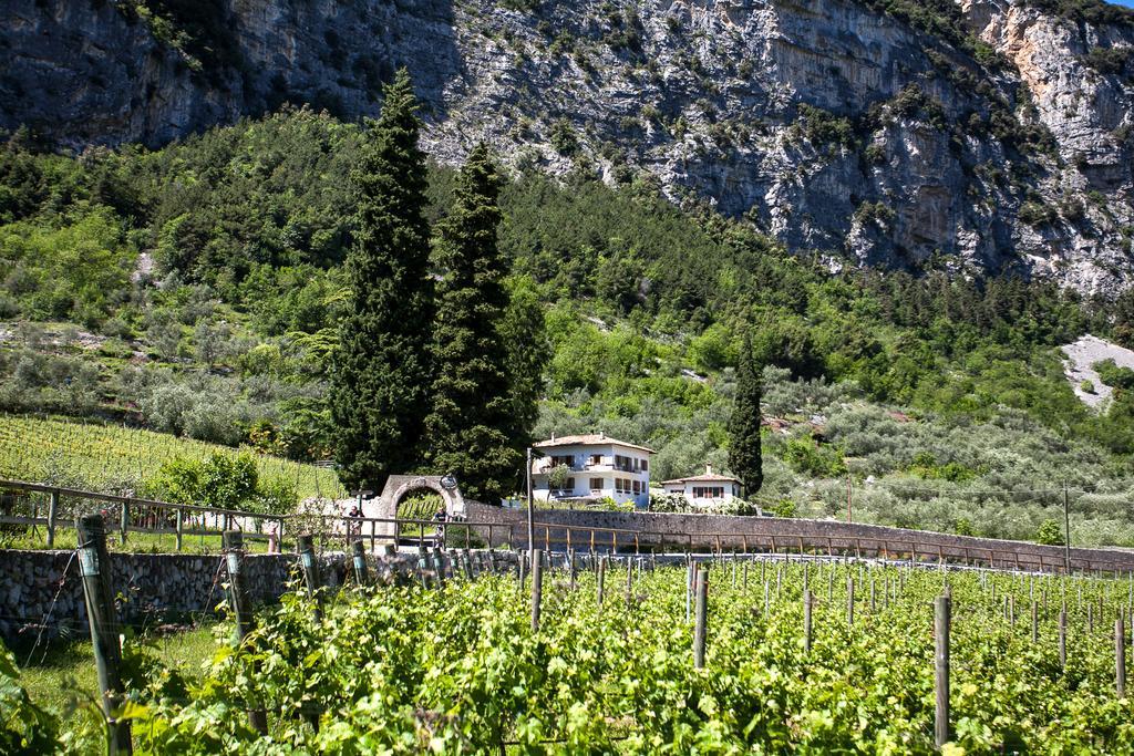 Agriturismo Maso Lizzone ドロ エクステリア 写真